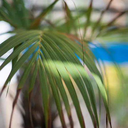 Apartamento Skyview Paradise House