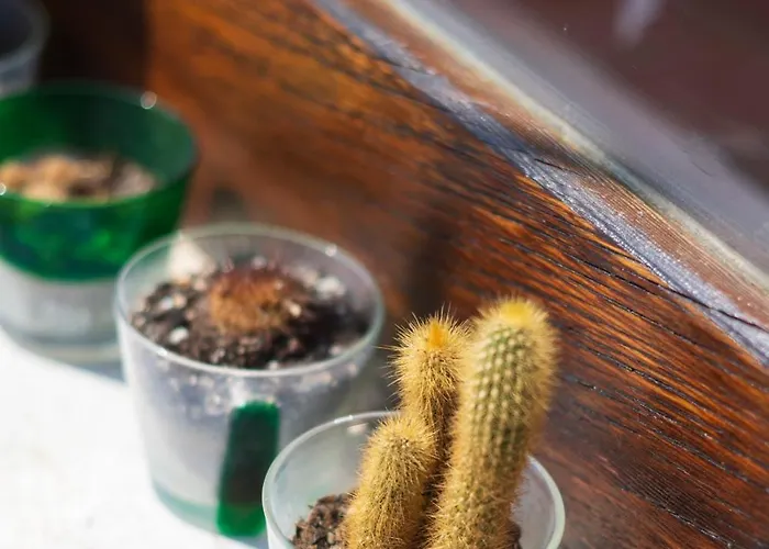 Skyview Paradise House شقة