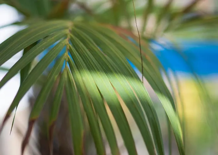 Apartment Skyview Paradise House