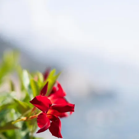 Skyview Paradise House Daire