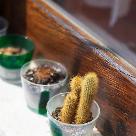 Skyview Paradise House Daire