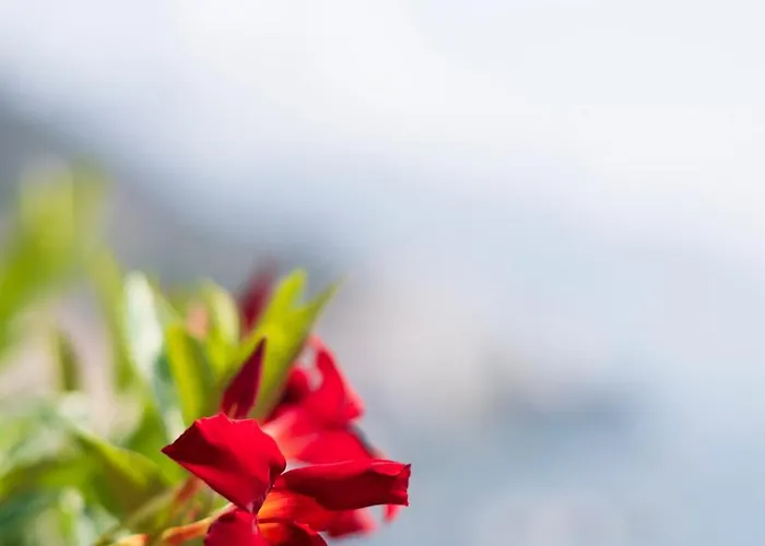 Skyview Paradise House Apartment